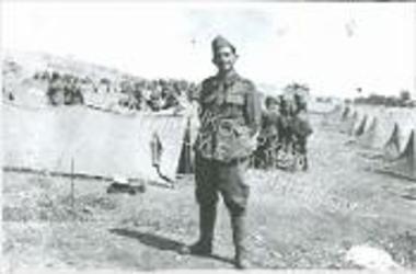 Συλλογή Πλήκα Βασίλη.