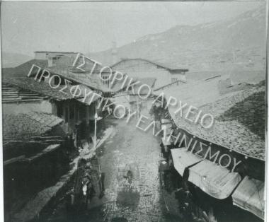 Συλλογή Θεοφυλάκτου Άννα.