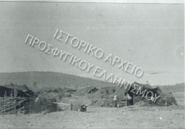 Συλλογή Θεοφυλάκτου Άννα.