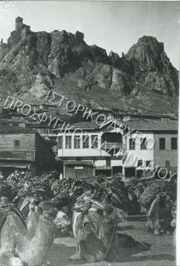 Συλλογή Θεοφυλάκτου Άννα.