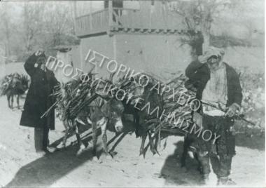 Συλλογή Θεοφυλάκτου Άννα.