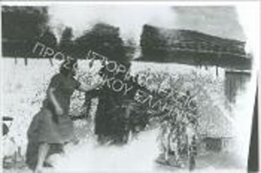 Συλλογή Γιαμούκη - Λαβασσού Άννα.