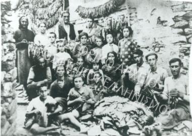 Συλλογή Θεοφυλάκτου Άννα.