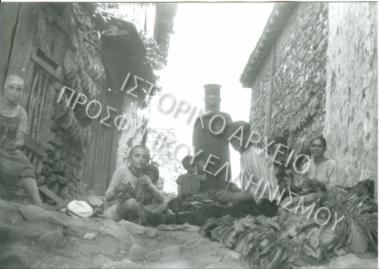 Συλλογή Θεοφυλάκτου Άννα.