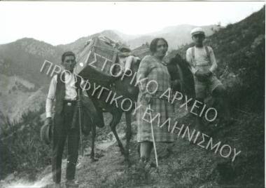 Συλλογή Θεοφυλάκτου Άννα.