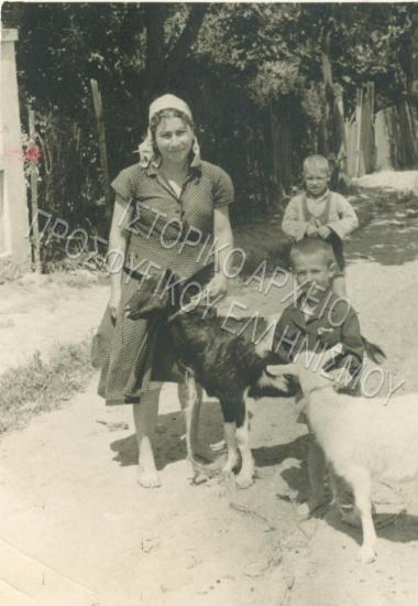 Συλλογή Πασαλίδου Ιωάννα (ΦΙΑΠΕ 2010)