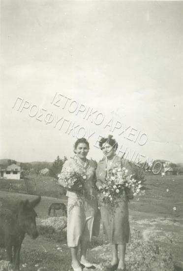 Συλλογή Πασαλίδου Ιωάννα (ΦΙΑΠΕ 2010)