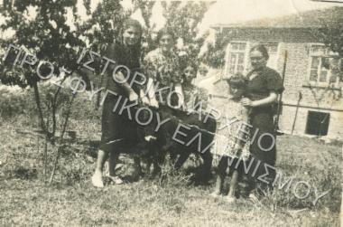 Συλλογή Πασαλίδου Ιωάννα (ΦΙΑΠΕ 2010)