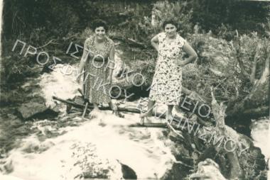 Συλλογή Πασαλίδου Ιωάννα (ΦΙΑΠΕ 2010)