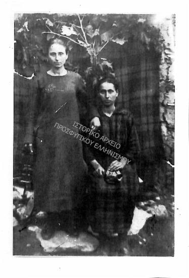 Συλλογή Πασαλίδου Ιωάννα (ΦΙΑΠΕ 2011)