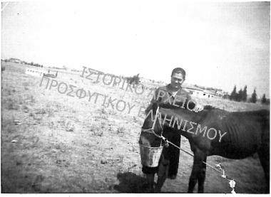 Συλλογή Πασαλίδου Ιωάννα (ΦΙΑΠΕ 2013)