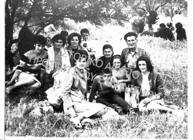 Συλλογή Πασαλίδου Ιωάννα (ΦΙΑΠΕ 2013)