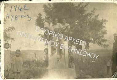 Συλλογή Δάρτζαλη Βάσου.