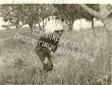 Συλλογή Δάρτζαλη Βάσου.