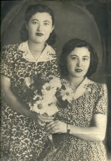 Συλλογή Δάρτζαλη Βάσου.