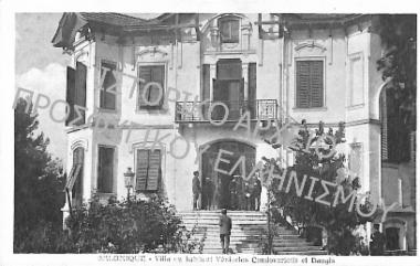 Συλλογή Φυτούλη Δημήτριου (Νο3)