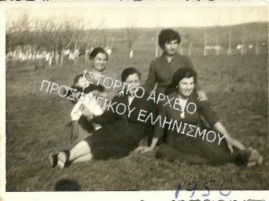 Συλλογή Δάρτζαλη Βάσου.