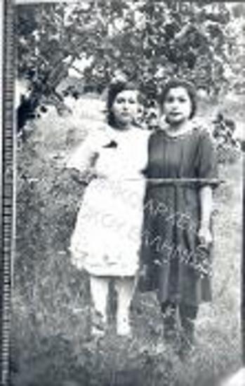 Συλλογή Αναστάσιου Μαβίδη