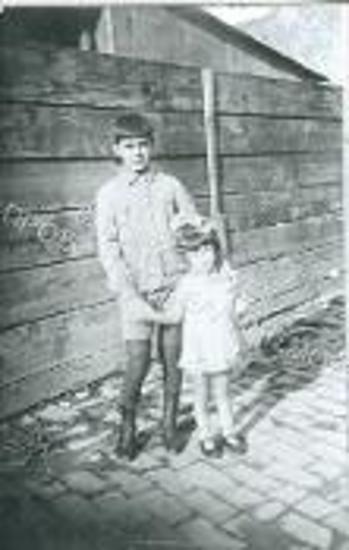 Συλλογή Κρίνου - Ροδίου Ειρήνη.