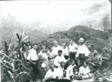 Συλλογή Κρίνου - Ροδίου Ειρήνη.