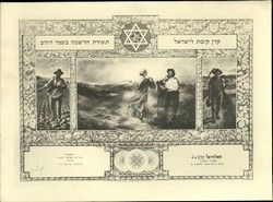 Certificate issued by Jewish National Fund, i. m. of Saltiel Cohen, Jerusalem 04/11/1964.