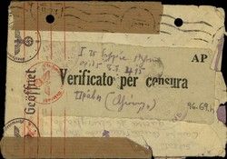Letter written in Survegliano, Italy, by Maurice Simha, (with envelope).