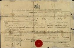 Certificate of birth belong to Alegra Amarillio.