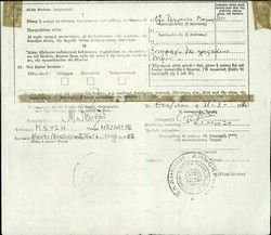 Doctor's certificate of death, Liza Pinhas, Salonica 11/01/1980 (simple copy).