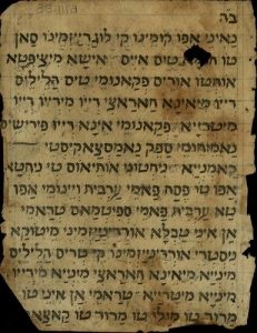 Manuscript copy with detailed instructiond for the first night of Passover.