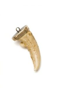 Animal tooth with gold mounting.