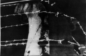 Auschwitz concentration camp's barbed wire.