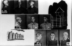 Identification photographs of prisoners and drawings of barbed wire and guard towers of the Auschwitz concentration camp.