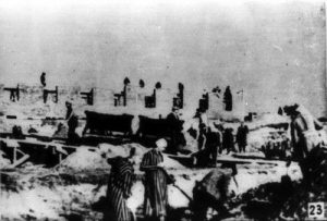 Auschwitz concentration camp, labor.