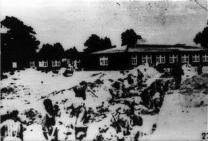 Auschwitz concentration camp, labor.
