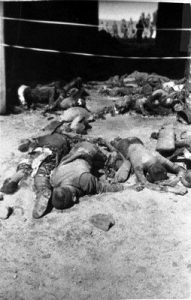 Dead prisoners at the Gardenlegen Concentration Camp.