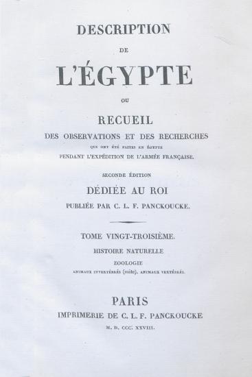 Description de l'Égypte, ou, Recueil des observations et des recherches qui ont été faites en Égypte pendant l'expédition de l'armée française.