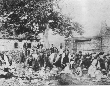 Shearing the sheep, northern Pindos, early 20th century