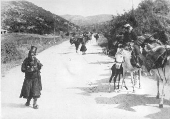 Arvanitovlachs on the way to their winter pastures, Epiros 1928