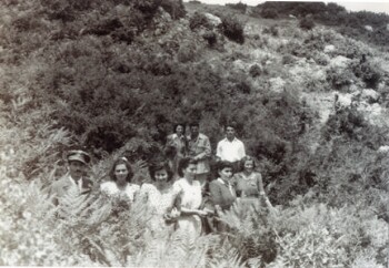 A company of friends