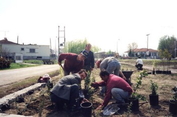 Tree planting in the Municipality of Stavros village of Imathia