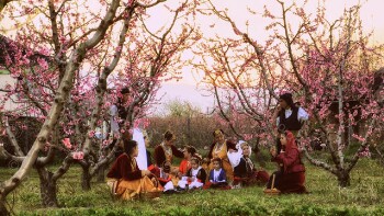 Ανθισμένες ροδακινιές 2017, συμμετοχή στο διαγωνισμό φωτογραφίας