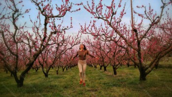Ανθισμένες ροδακινιές 2017, θέσεις επιλαχόντων στο διαγωνισμό φωτογραφίας