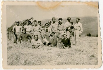 Αλώνισμα στη Φυτειά