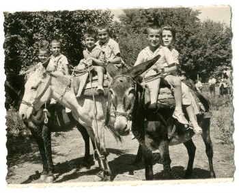 For a ride on the donkeys, going to 