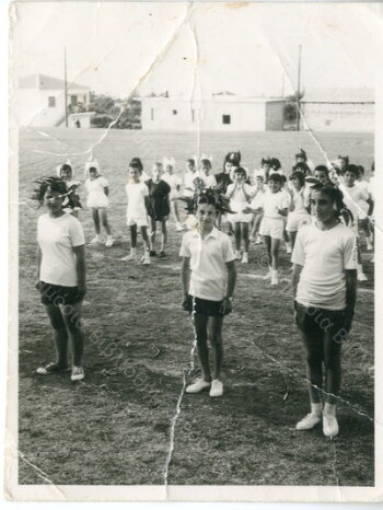 Γυμναστικές επιδείξεις