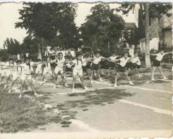 Γυμναστικές επιδείξεις στο Δημοτικό σχολείο Ταγαροχωρίου Ημαθίας