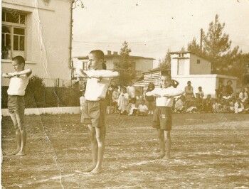 Primary School of Agia (Saint) Marina, Gymnastic performance