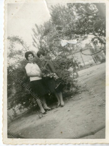 Cousins at the village square of Agia (Saint) Marina