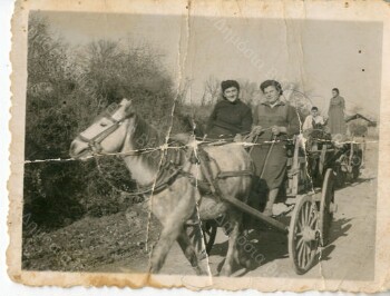 Επιστροφή από το σπάσιμο καπνών