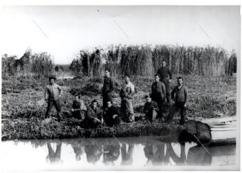 Swamp drying works in Giannitsa city of Pella